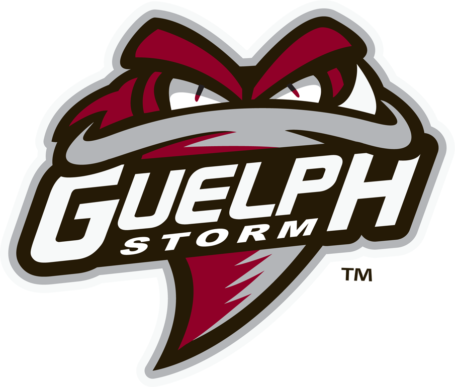 Guelph Storm 2018-Pres Primary Logo iron on transfers for T-shirts